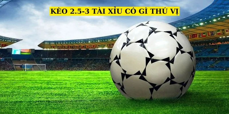 keo-2.5-3-tai-xiu-co-gi-thu-vi