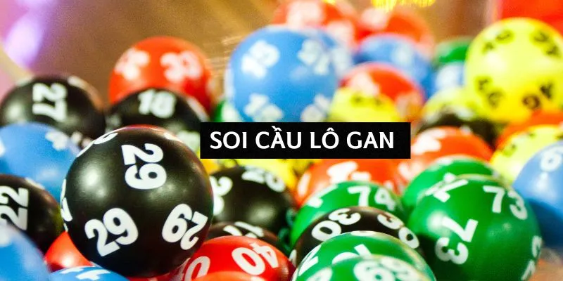 soi-cau-lo-gan