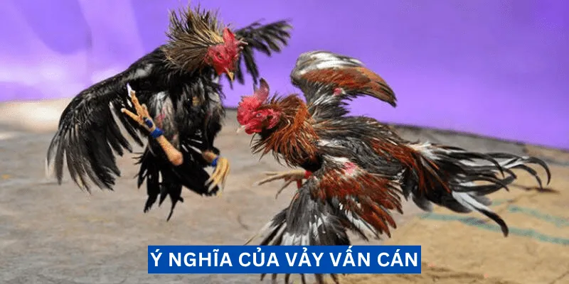 y-nghia-cua-vay-van-can