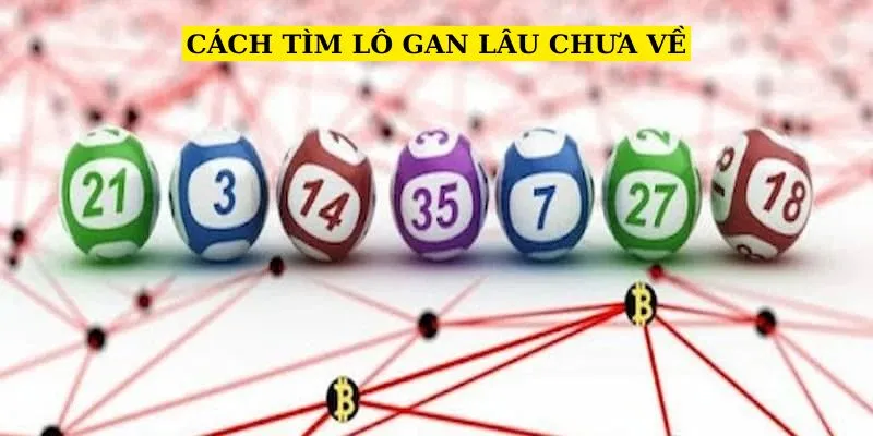 cach-tim-lo-gan-lau-chua-ve